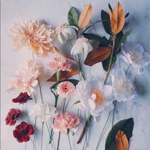 Meet your Posher, Cintia